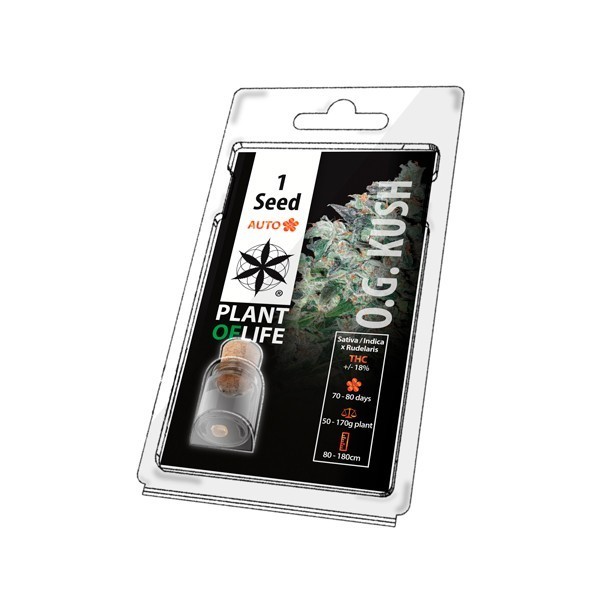 Graine de collection OG KUSH AUTO