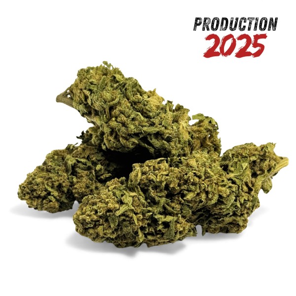 Fleur de CBD Banana Smash Greenhouse