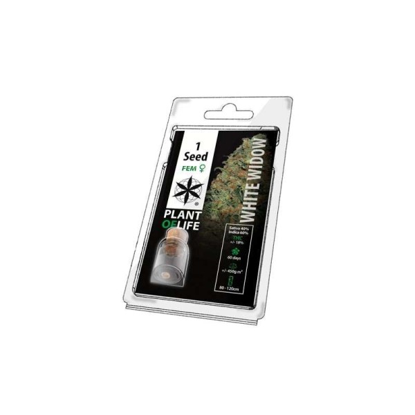 Graine de collection WHITE WIDOW FÉMINISÉE