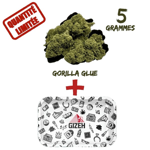 Pack Fleur CBD Gorilla Glue Greenhouse 8% + Plateau à Rouler GIZEH Comic Blanc 275x175mm