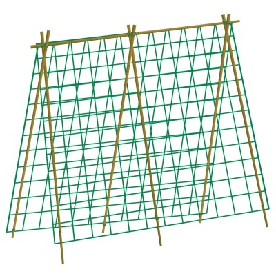 Filet haricots & pois vert...