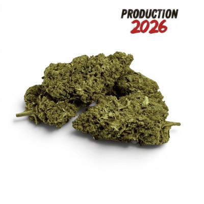 Fleur de CBD Super Silver...