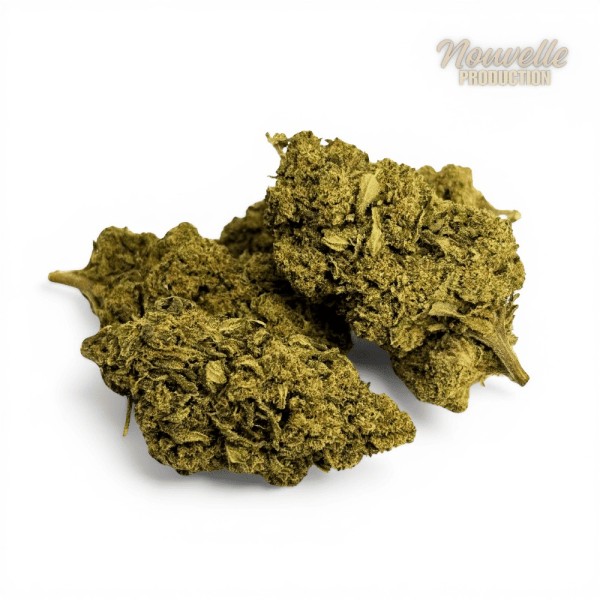 Fleur de CBD La Frappe Delta NL1 + 10-OH-HHC 25%