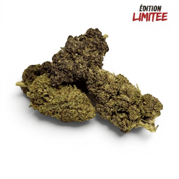 Fleur Purple Haze CBDX (CBD Xtrem) Indoor 20%